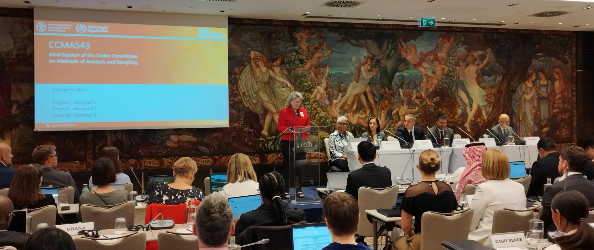 Widok sali plenarnej 43. Sesji CCMAS 