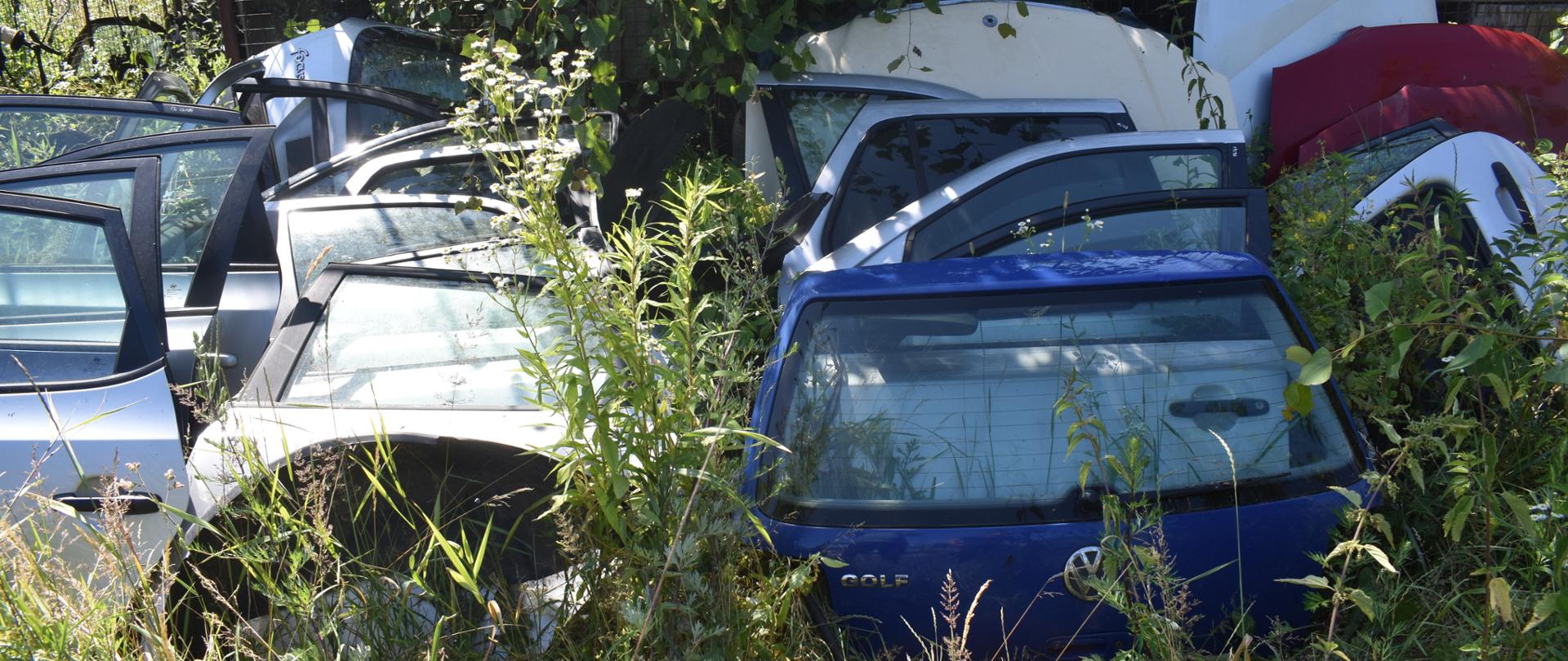 Karoserie samochodowe nielegalnie zgromadzone na otwartym, zarośniętym krzakami terenie.