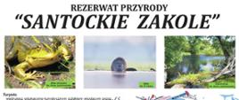 2 Rezerwat przyrody "Santockie Zakole" –malownicze miejsce, które warto odwiedzić 