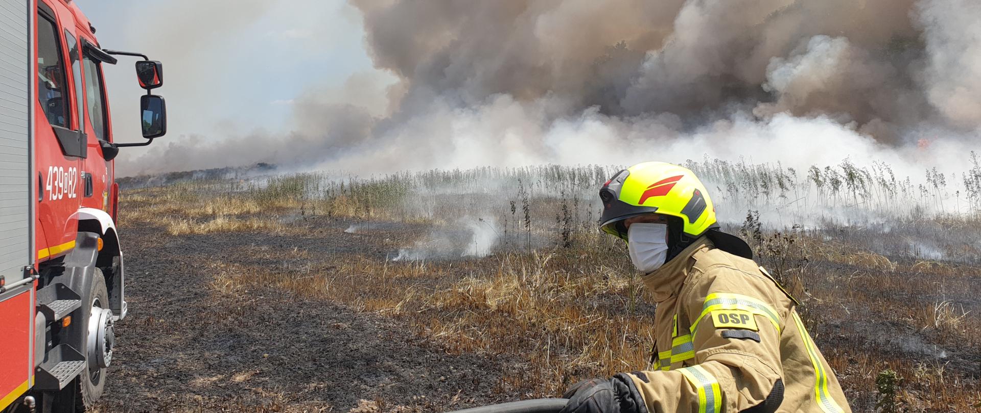 Strażak OSP w Byczynie rozwija linię szybkiego natarcia z samochodu pożarniczego koloru czerwonego stojącego na spalonym ściernisku. Strażak w umundurowaniu bojowym z hełmem na głowie, rękawicach strażackich oraz założoną maseczką na twarzy. W tle widoczny pożar zboża z intensywnym i gęstym dymem koloru szarego.