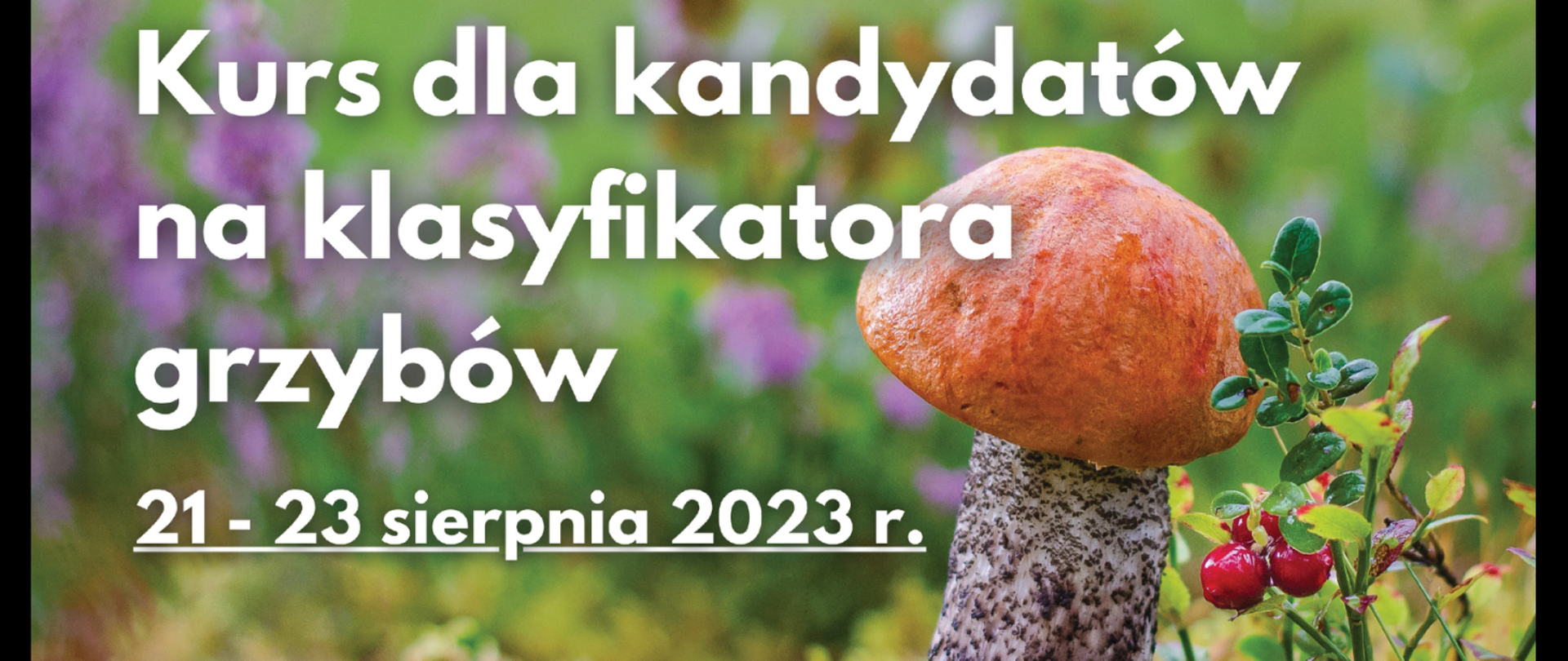 LOGO_Kurs_dla_kandydatów_na_klasyfikatora_grzybów