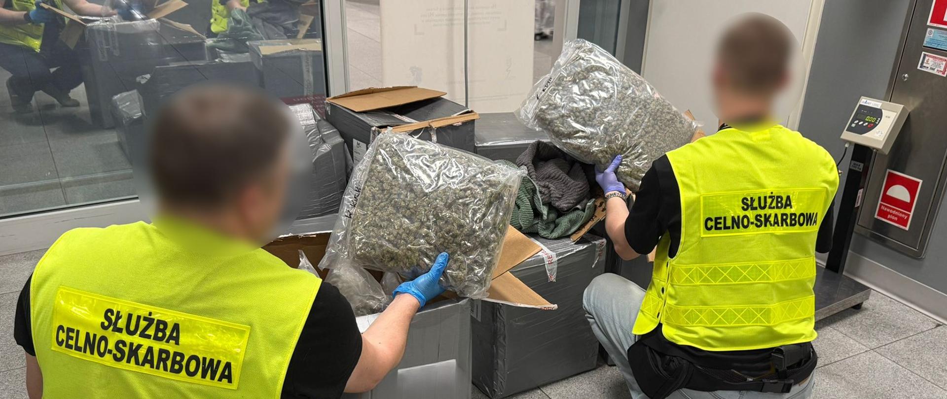 Dwie osoby w kamizelkach z napisem Służba Celno-Skarbowa przy kartonach, trzymają duże, przezroczyste worki wypełnione suszem roślinnym.