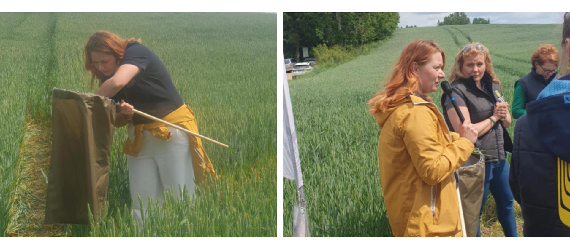 Kolaż zdjęć, lewy górny róg: kobieta z czerpakiem stojąca na tle zielonego łanu.
lewy, dolny róg – dwie kobiety stojące na polu, kobieta po lewej stronie trzyma mikrofon a kobieta po prawej kartkę.
prawy dolny róg – Dwie kobiety stoją na tle pola, kobieta po lewej stronie trzyma mikrofon i czerpak, a kobieta po prawej stronie ma złożone ręce,
prawy, górny róg – dwie kobiety stoją na tle zielonego łanu, kobieta po lewej stronie trzyma mikrofon, kobieta po prawej stronie ma złożone ręce.
