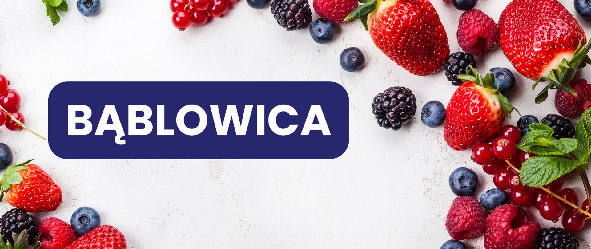 Grafika przedstawia owoce leśne i napis Bąblowica