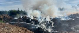 Zdjęcie przedstawia sterty biomasy. Na jedną ze stert unosi się gęsty dym. Na jednej stercie stoją strażacy i leją wodę na palącą się biomasę. 