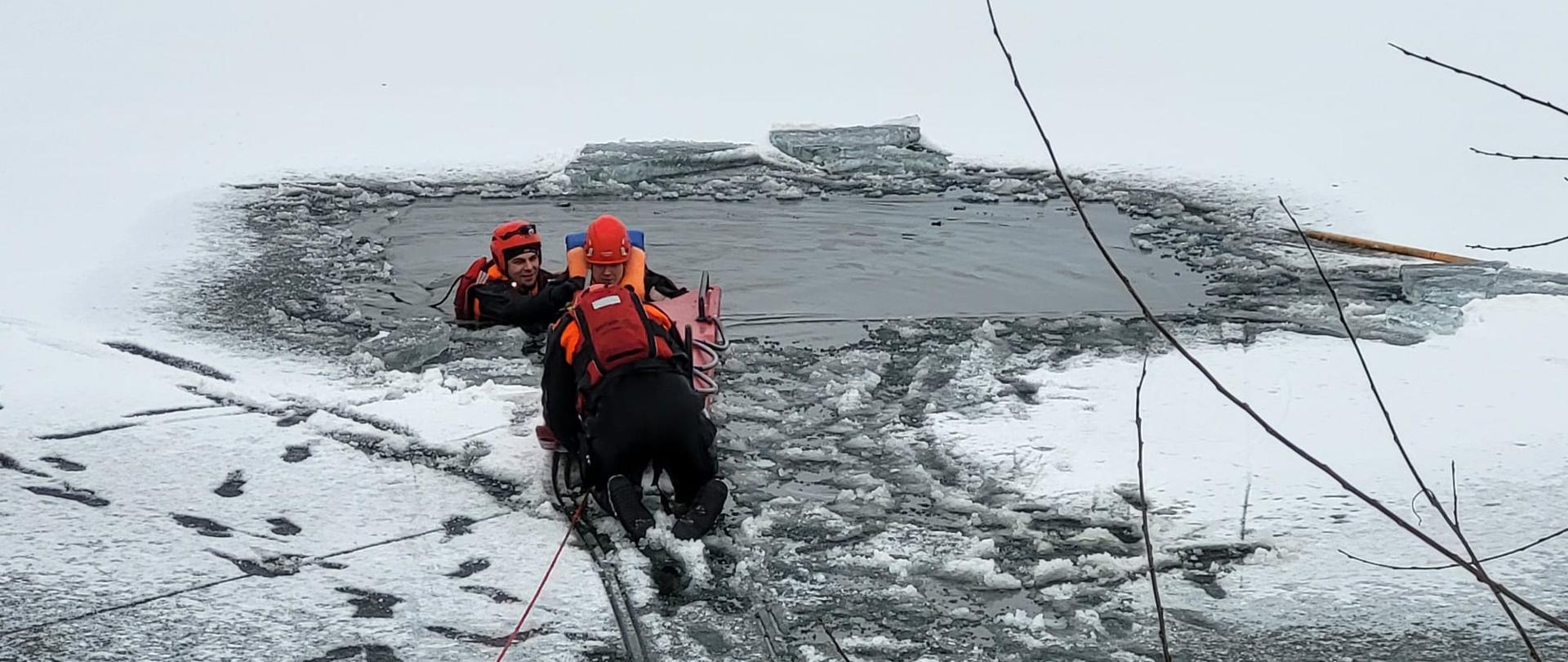 Zdjęcie wykonane na zamarzniętym zbiorniku wodnym. W centralnym punkcie zdjęcia widoczni strażacy wyposażeni w kombinezon, kamizelka, kask. Straży za pomocą sań lodowych ćwiczą wyciągniecie osoby z przerębla.