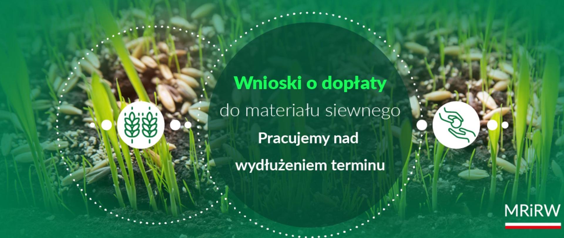 grafika