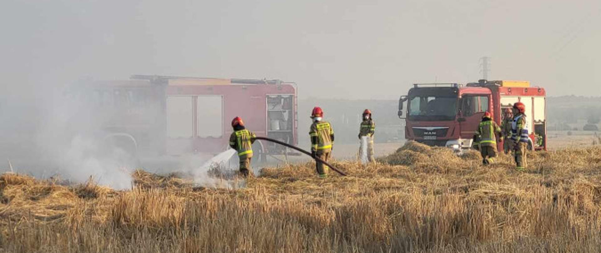Zdjęcie przedstawia strażaków oraz dwa wozy strażackie podczas pożaru zboża na pniu. Jeden ze strażaków podaje prąd wody w natarciu na palące się zboże.