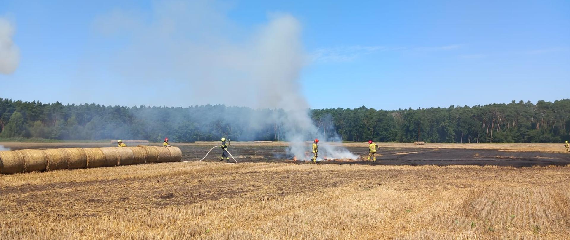 Zdjęcie przedstawia akcję gaśniczą pożaru na polu uprawnym. W centralnej części obrazu unosi się gęsty biały dym, który wydobywa się spod palących się bel słomy. Na polu znajduje się kilka dużych, okrągłych bel ułożonych w rzędzie. Strażacy w żółtych hełmach i specjalistycznych strojach pracują nad opanowaniem pożaru – część z nich trzyma węże gaśnicze i kieruje strumień wody na ogień. W dolnej części zdjęcia stoi czerwony wóz strażacki. W tle widoczny jest pas lasu, a nad nim błękitne niebo. Całość ma miejsce w słoneczny dzień, na świeżo ściętym polu.