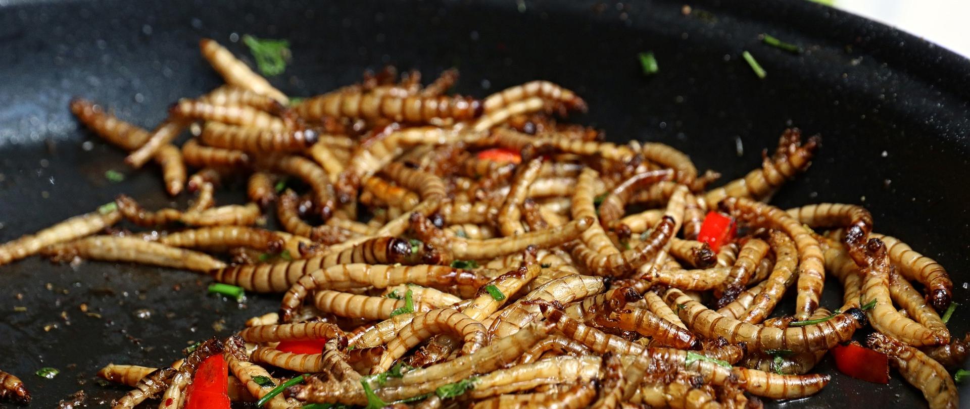 Na głębokiej patelni znajdują się jadalne owady wymieszane z pokrojoną papryką oraz świeżymi ziołami.