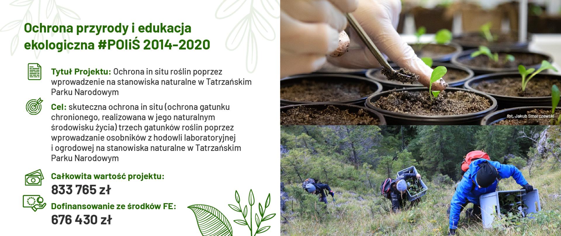 grafika efekty wdrażania POIiŚ 2014-2020 - ochrona przyrody i edukacja ekologiczna
projekt: Ochrona in situ roślin poprzez wprowadzanie na stanowiska naturalne w Tatrzańskim Parku Narodowym
Wartość projektu: 833 765,82 zł, wysokość dofinansowania UE: 676 430 zł