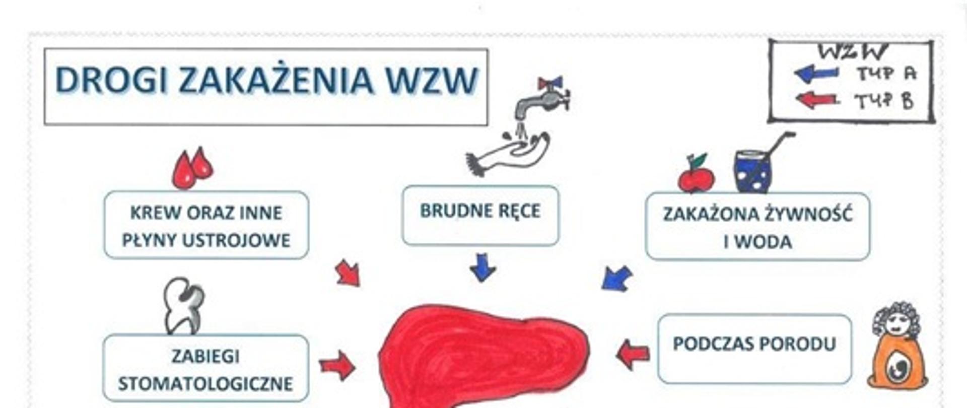 Obraz przedstawiający drogi zakażenia WZW