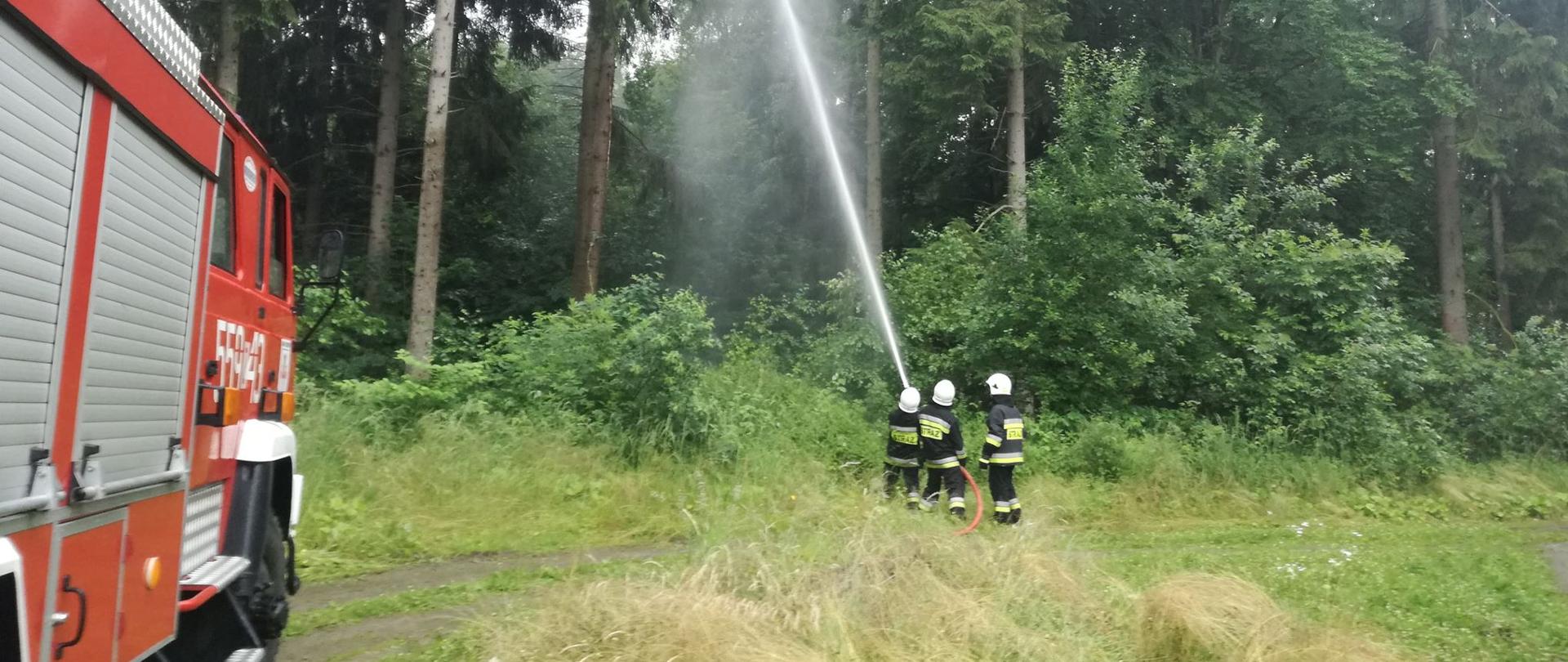 Zdjęcie z ćwiczeń w Nadleśnictwie Świdwin