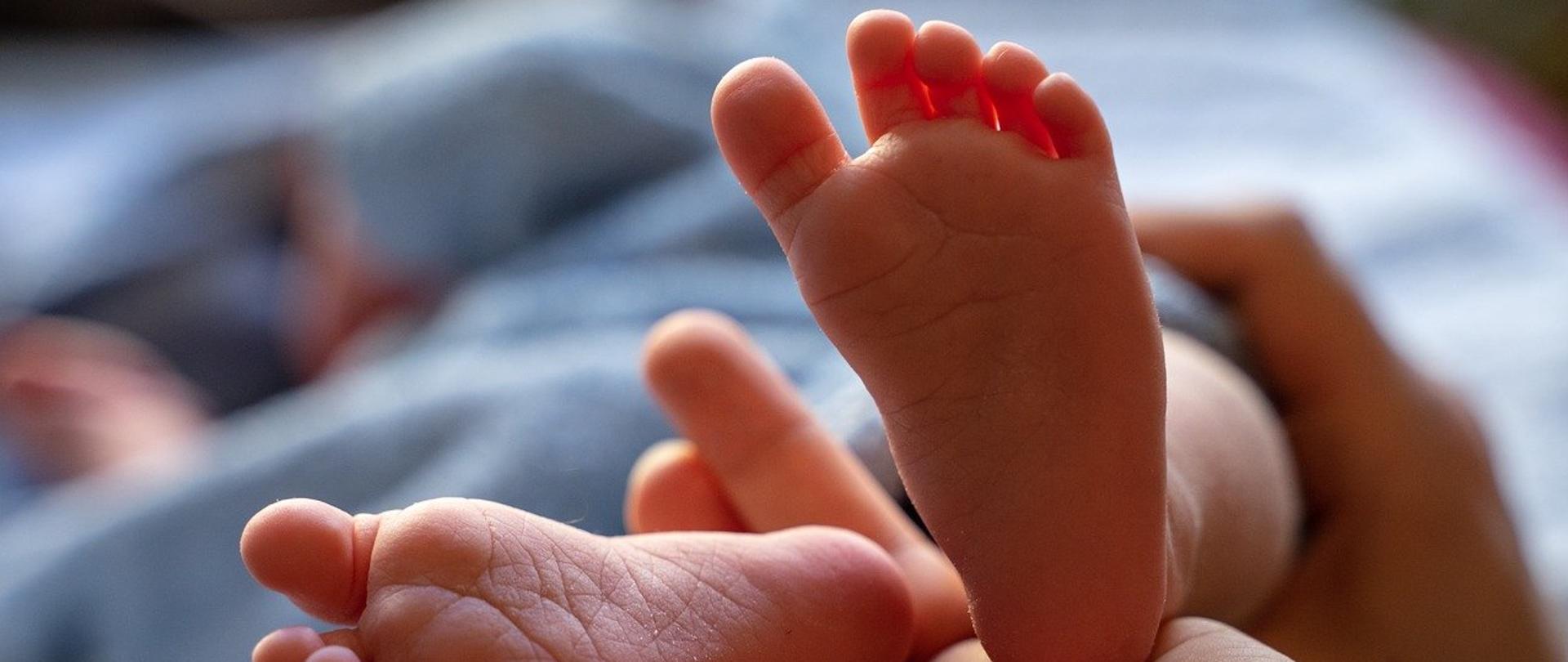 Ilustracja poglądowa Pixabay. Na zdjęciu małe, dziecięce stópki, trzymane w dłoniach osoby dorosłej. 