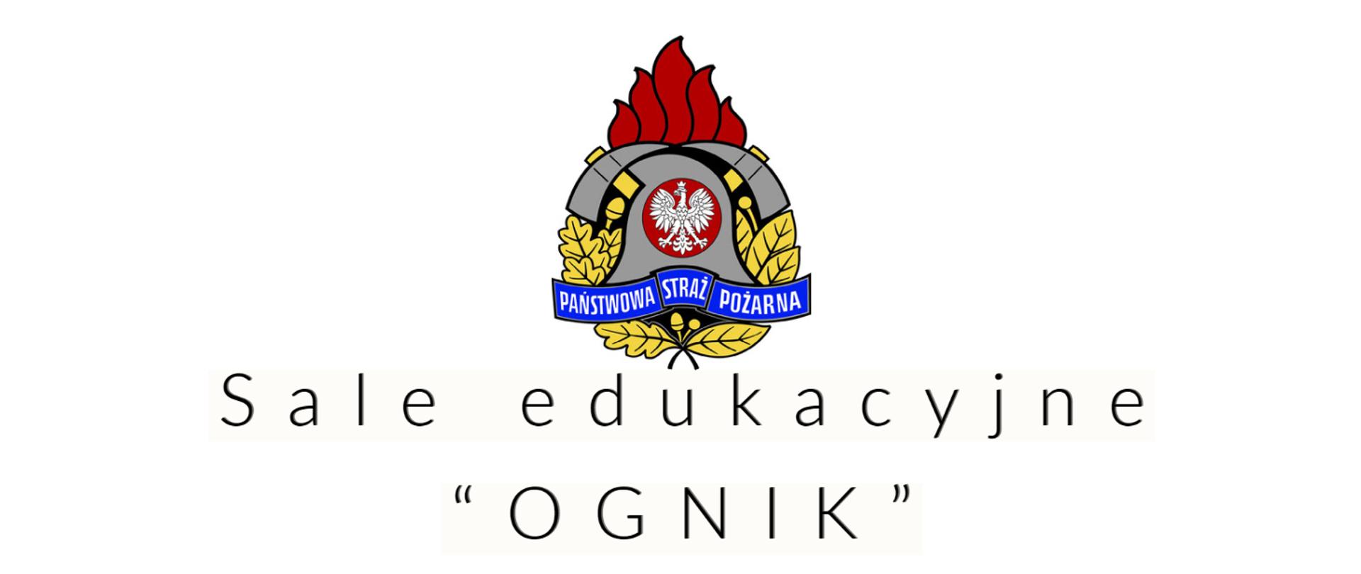 Sale edukacyjne "OGNIK" grafika w tle z logo PSP 