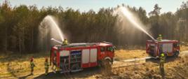 Dwa pojazdy ratowniczo-gaśnicze, które równocześnie podają dwa prądy gaśnicze z działek na teren leśny. 