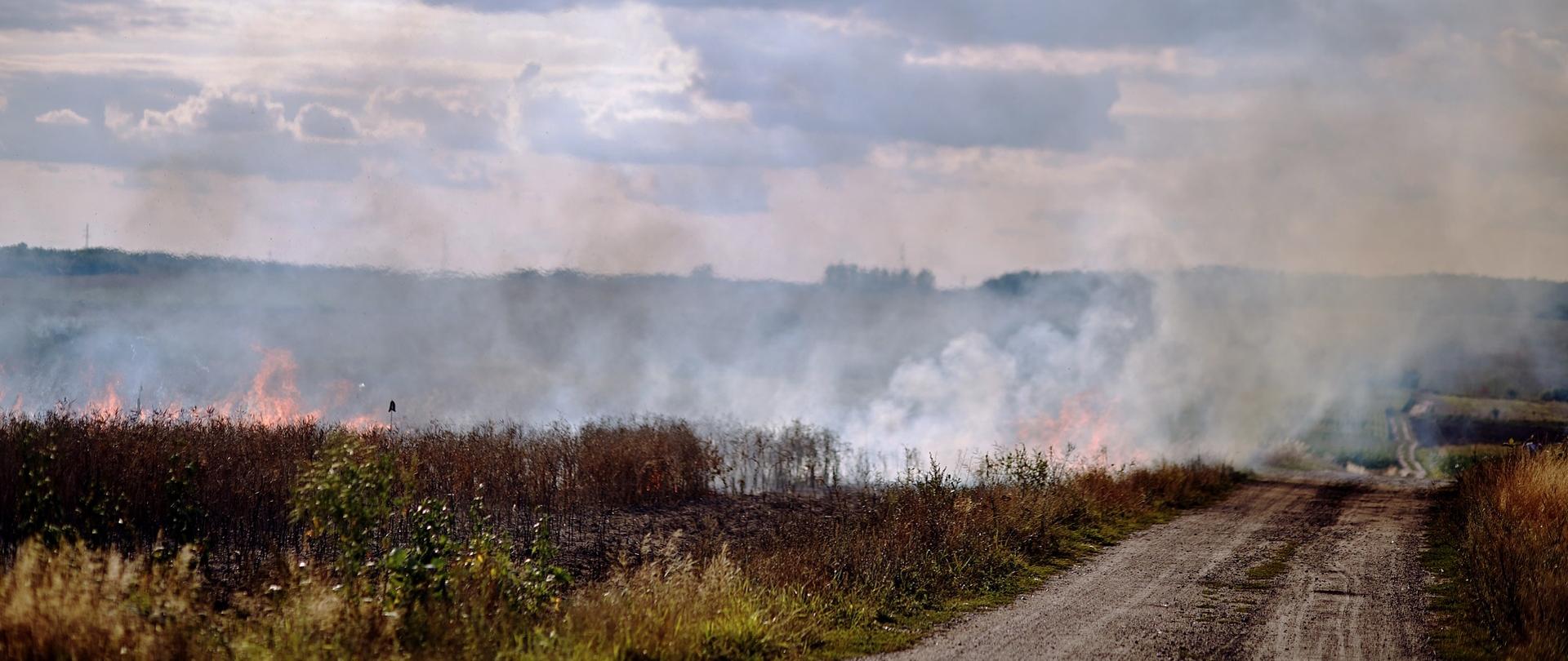 Wypalanie traw - pożar