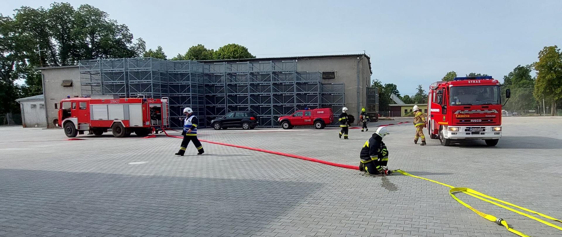 Ćwiczenia Świemino "Europlant"