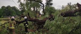Zdjęcie przedstawia strażaków usuwających powalone drzewo na drodze.