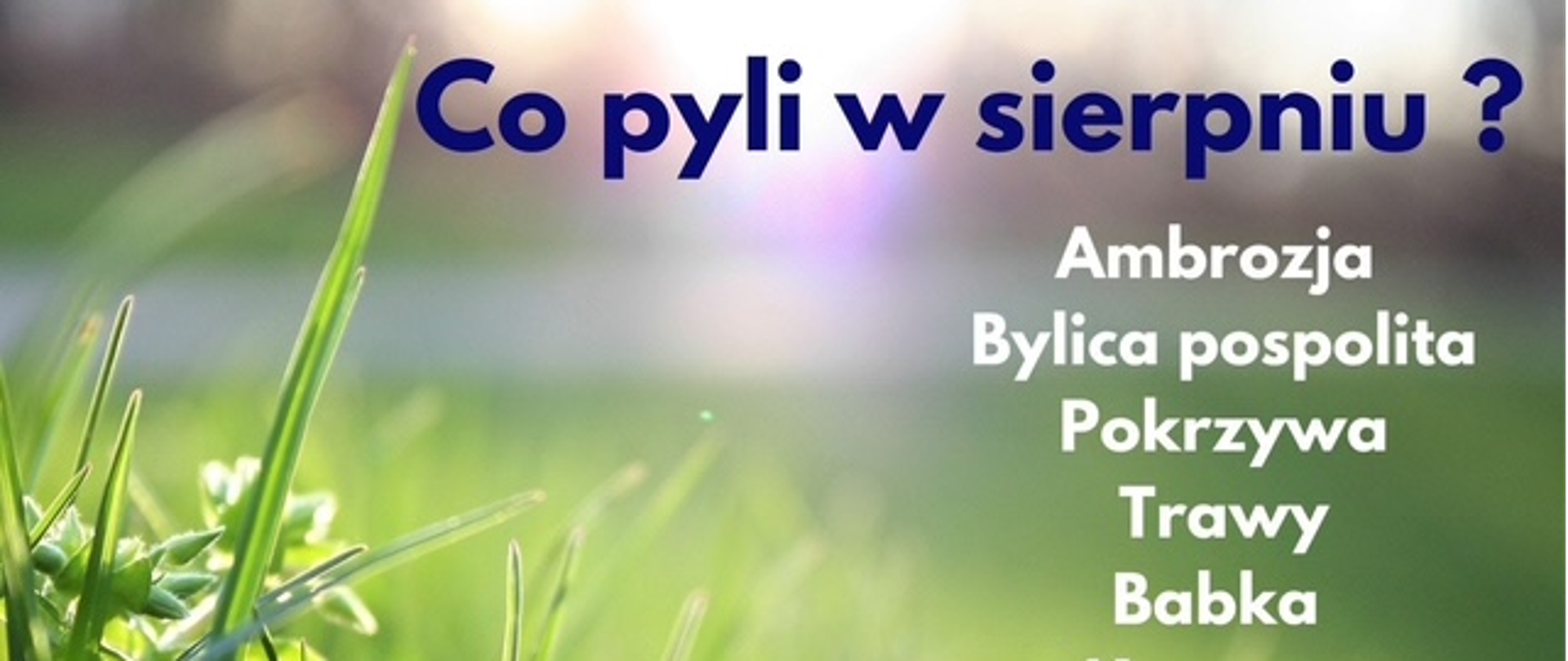 Co pyli w sierpniu ?