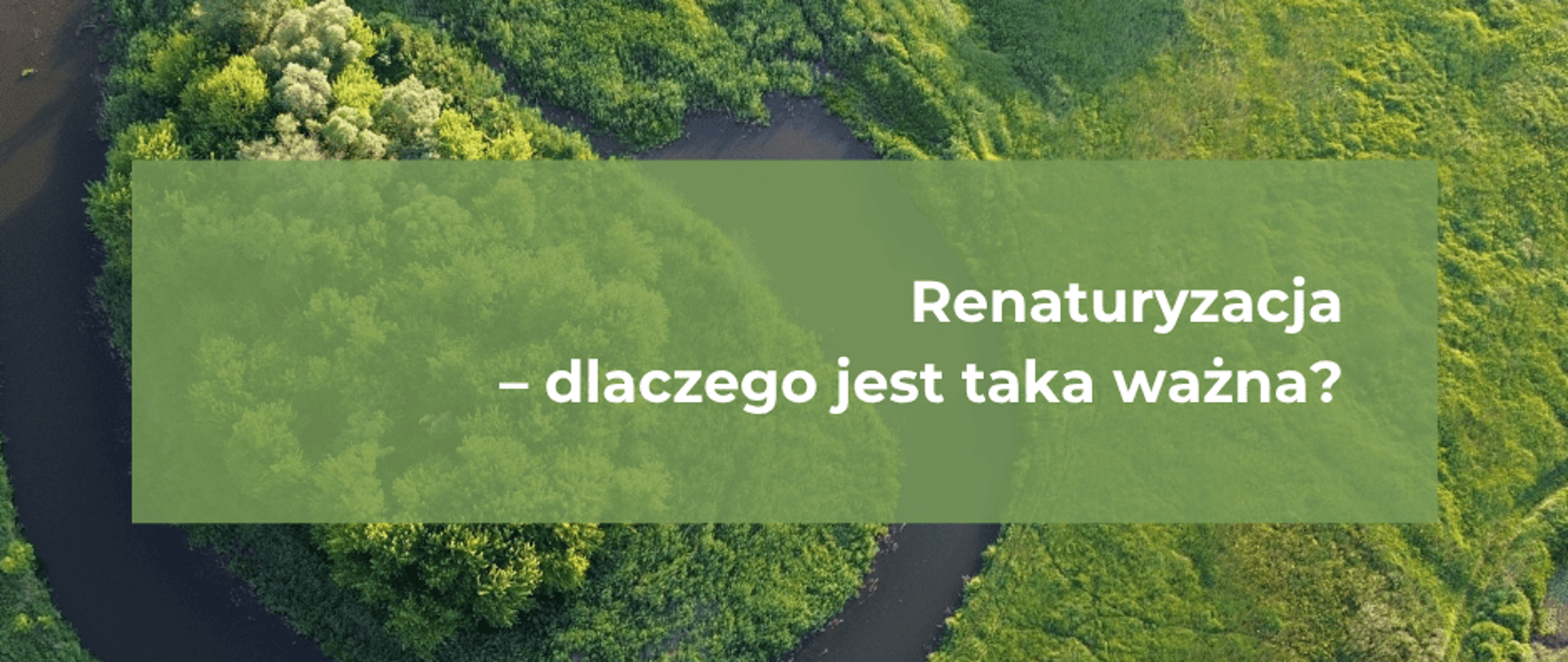 Renaturyzacja dlaczego jest ta ważna