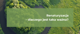 Renaturyzacja dlaczego jest ta ważna