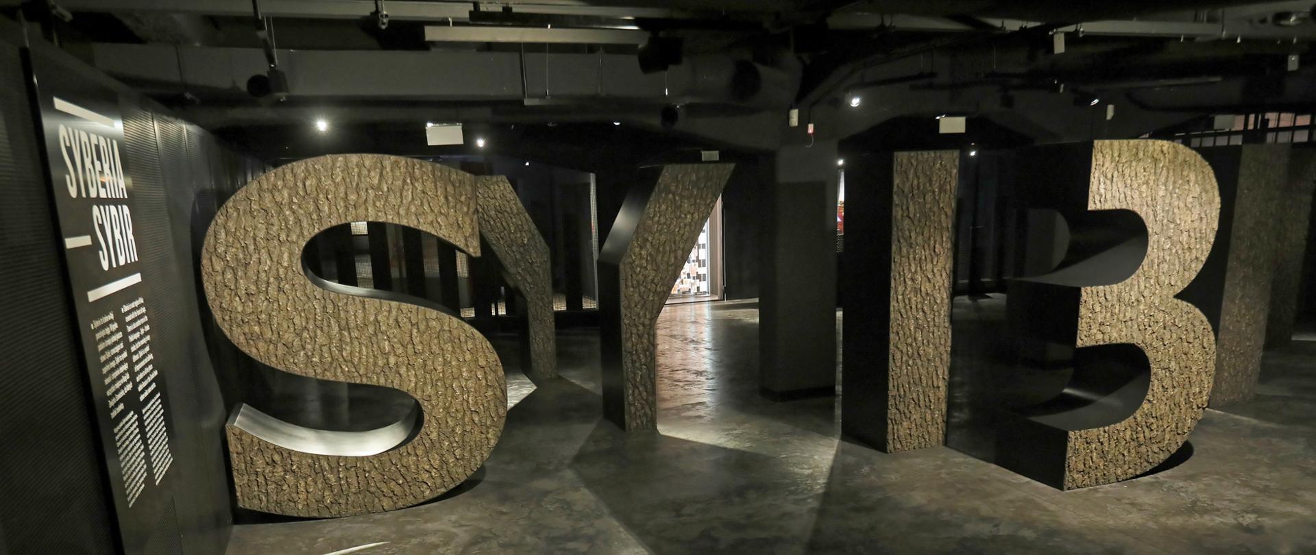 Muzeum Pamięci Sybiru powstaje dzięki ogromnemu wsparciu MKDNiS fot. PAP/Artur Reszko