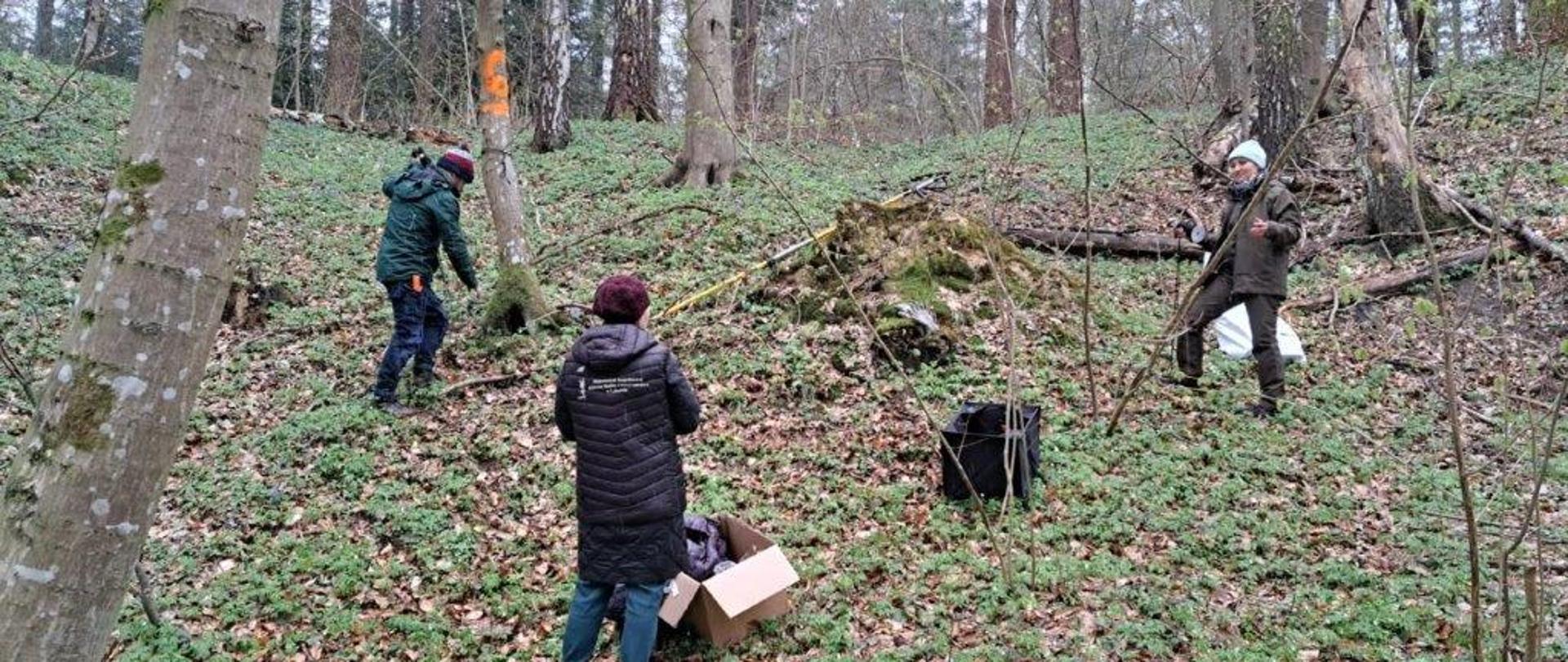 Przygotowanie do zawieszenia pułapki feromonowej Inspektorzy WIORiN w Lublinie i koordynator z UR w Krakowie