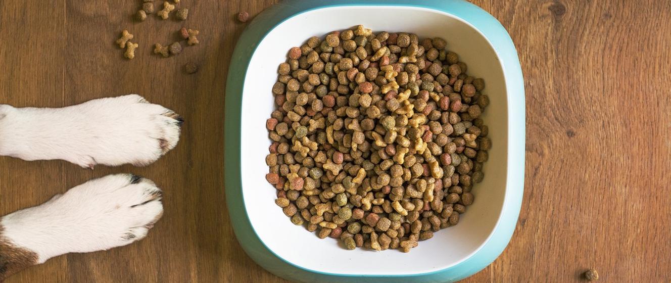 Wyniki kontroli karmy dla zwierząt domowych - Inspekcja Jakości Handlowej Artykułów Rolno-Spożywczych - Portal Gov.pl