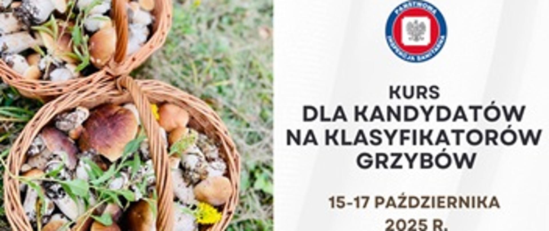 Zaproszenie na kurs specjalistyczny dla kandydatów na klasyfikatorów grzybów 