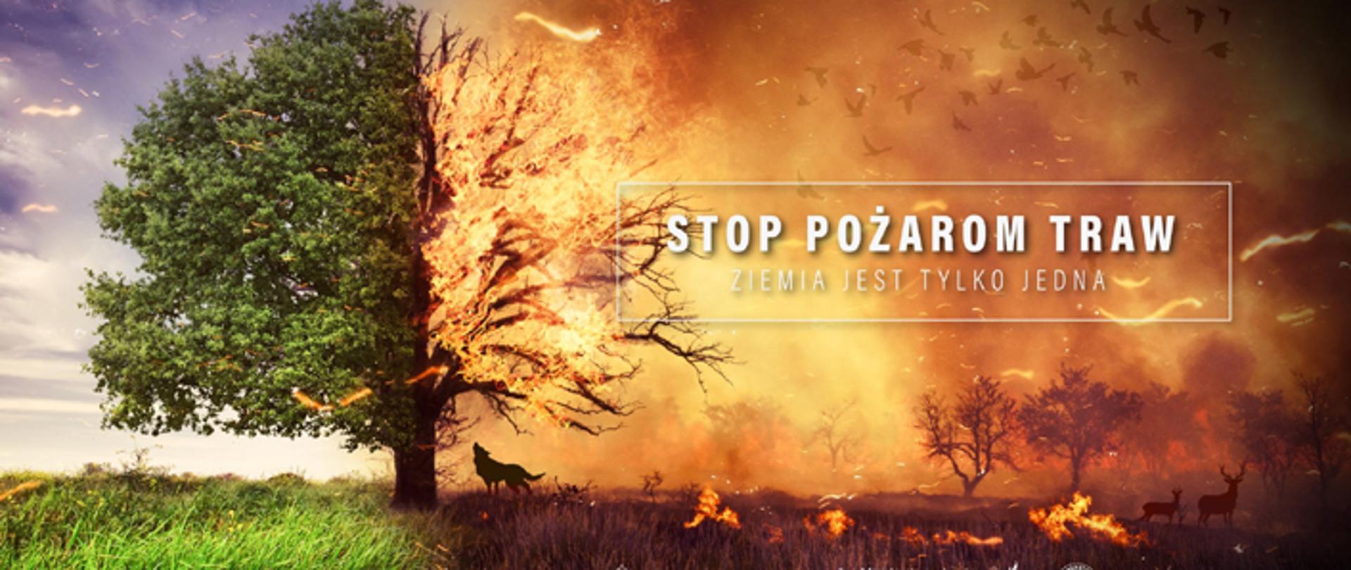 Pożar trawy na polu