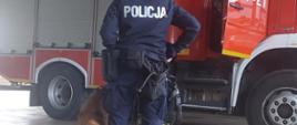 Szkolenie psów z Sułkowic, trener z podopiecznym w garażu KP PSP w Grójcu przy wozie ratowniczo-gaśniczym