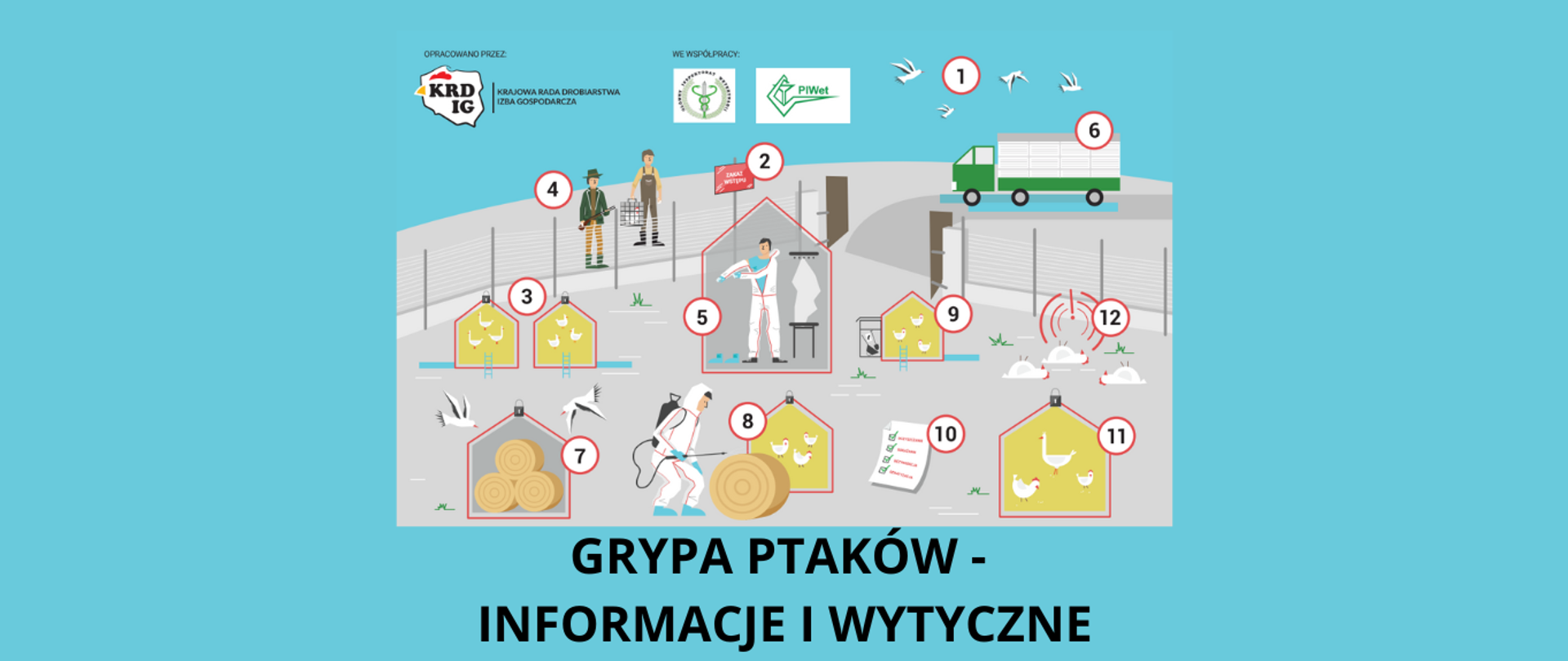 Na grafice znajdują się ilustracje dot. bioasekuracji oraz napis grypa ptaków - informacje i wytyczne