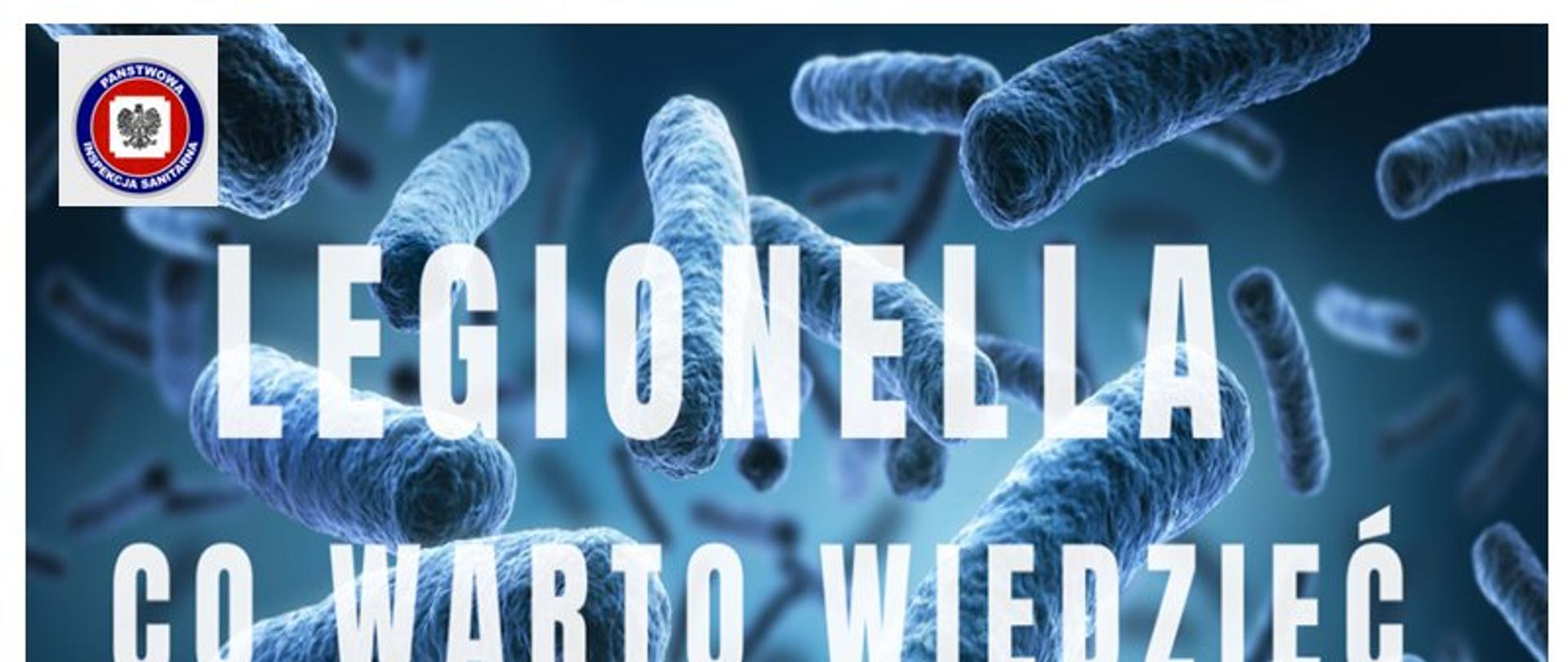 CO POWINNIŚMY WIEDZIEĆ O LEGIONELLI