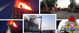 Infografika zdjęć na których widać ogień z palącego się budynku młyna. Wiele samochodów gaśniczych (strażackich) w trakcie gaszenia pożaru.Po prawej stronie logo PSP.