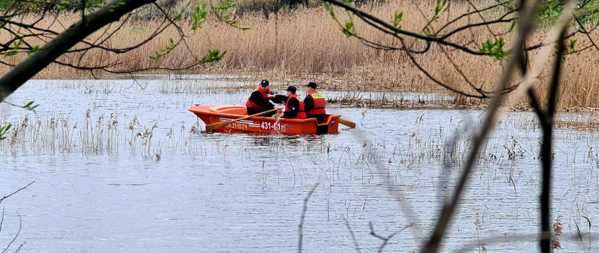 Uwięzione żurawie na stawie