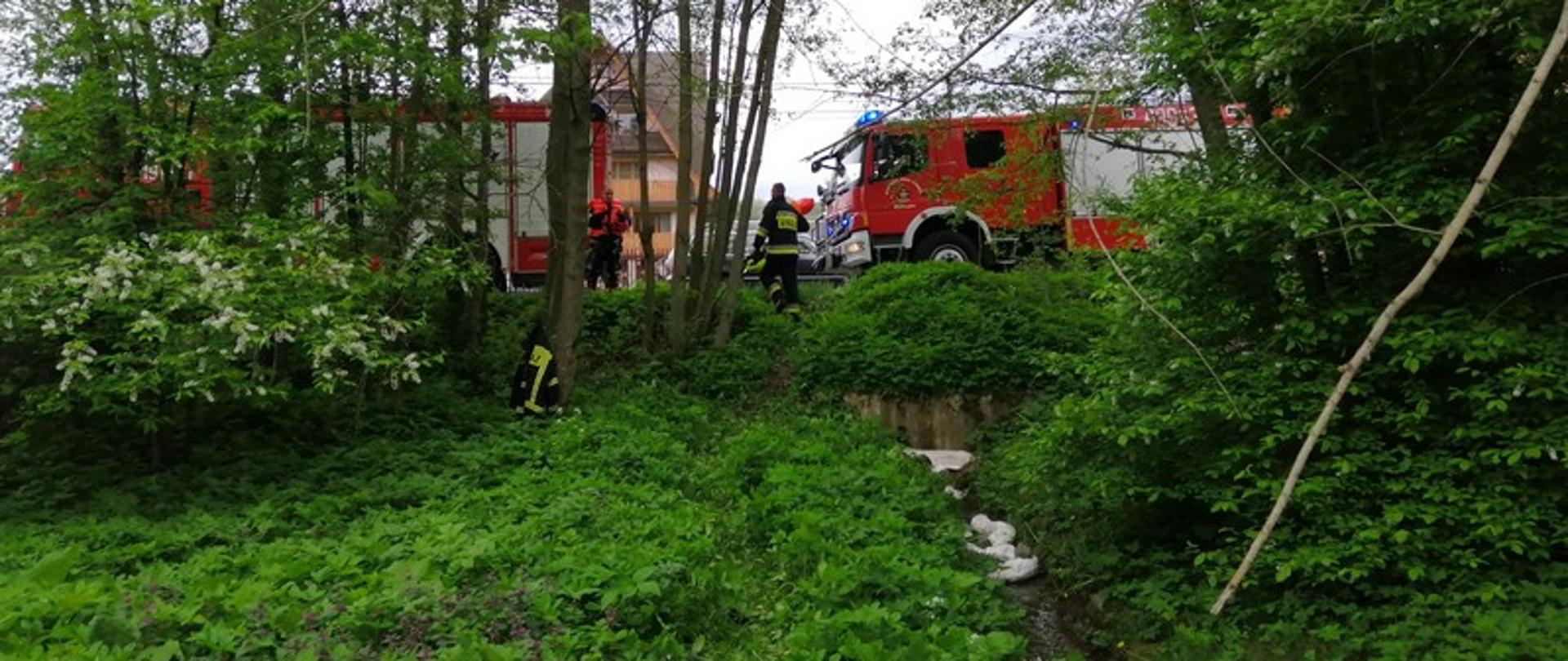 Wyciek substancji ropopochodnej w Szaflarach.