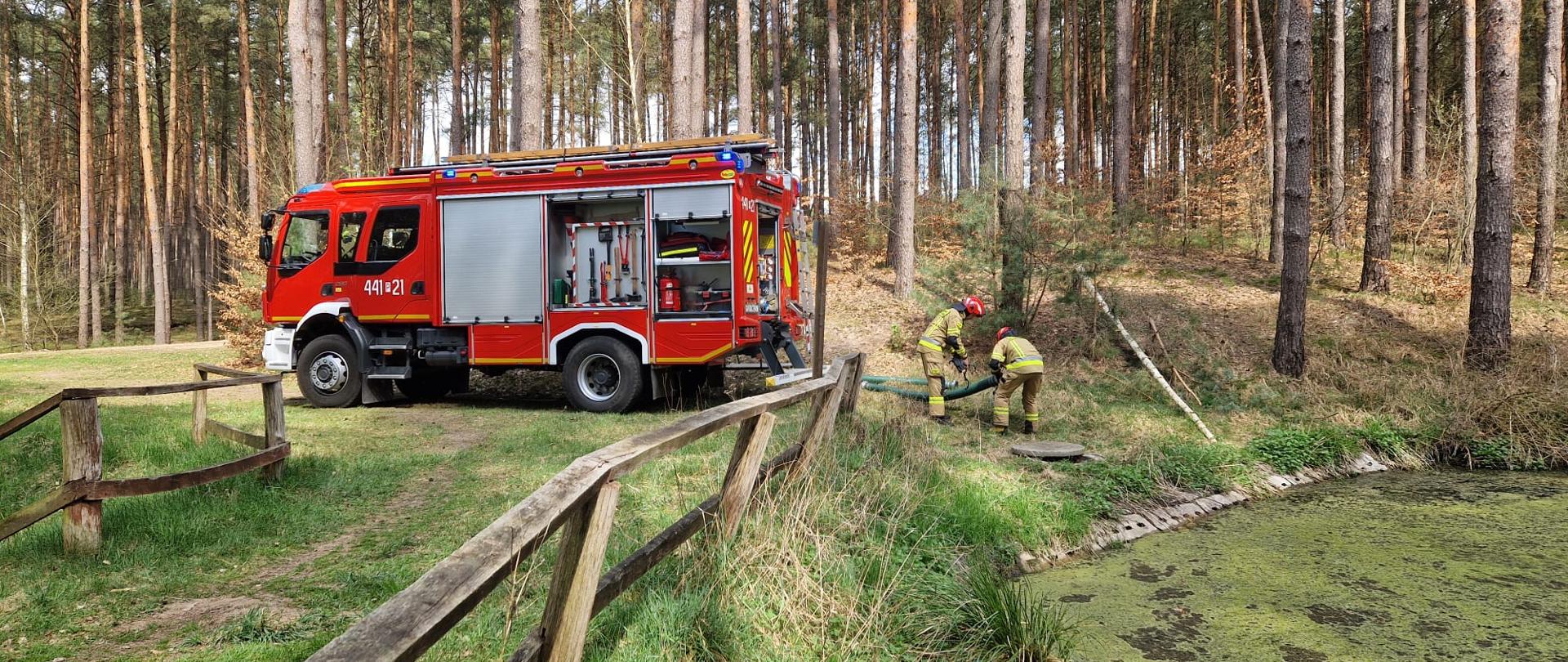 ĆWICZENIA W LEŚNICTWIE KRZEWINA