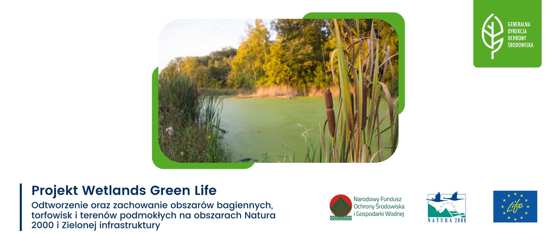 W prawym górnym rogu logo Generalnej Dyrekcji Ochrony Środowiska (zielony liść na białym tle). W centrum zdjęcie mokradeł: pałki wodne, rzęsa wodna na zbiorniku wodnym, w tle las.
Na dole strony napis: Projekt Wetlands Green Life „Odtworzenie oraz zachowanie obszarów bagiennych, torfowisk i terenów podmokłych na obszarach Natury 2000 i Zielonej infrastruktury” oraz logotypy Narodowego Funduszu Ochrony Środowiska i Gospodarki Wodenej, Natury 2000. Life.