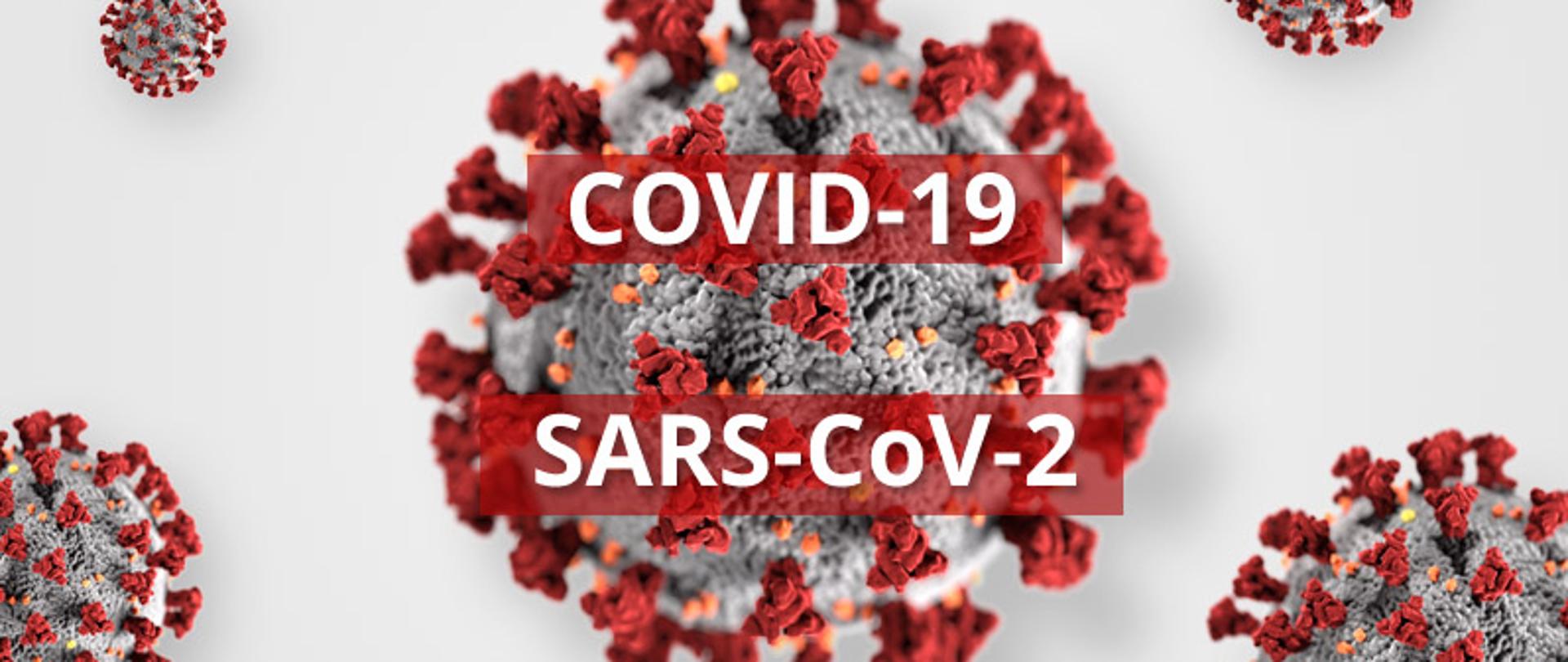 Zdjęcie przedstawia graficzną prezentację wyglądu wirusa SARS-COV-2. 