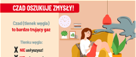 Na górze napis czad oszukuje zmysły. Po prawej stronie na fotelu siedzi młoda kobieta. Fotel stoi na okrągłym dywanie a za nim stoi duża donica z kwiatkiem. Za kobieta na ścianie wisi zegar i półki z książkami i kwiatami. Przed twarzą kobiety wije się szara smuga dymu. Po lewej stronie napisy czad w nawiasie tlenek węgla to bardzo trujący gaz. Tlenku węgla nie usłyszysz, nie zobaczysz nie poczujesz. Na dole logo Państwowej Straży Pożarnej i logo prewencji społecznej napis Państwowa Straż Pożarna, rysunek telefonu i numer 112. 
