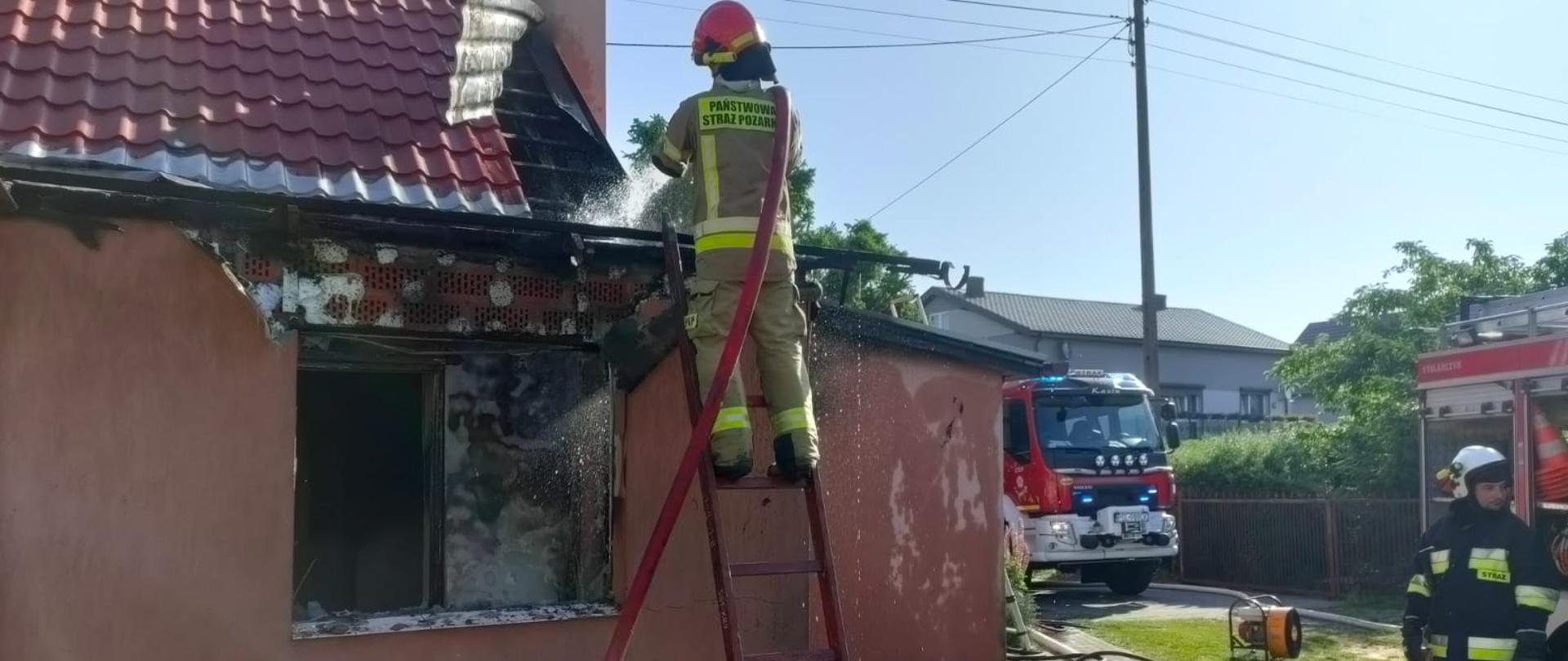 na drabinie stoi strażak z liną wężową z boku stoją inni strażacy oraz leż inny sprzęt strażacki na budynku widać poderwany kawałek blachy na dachu