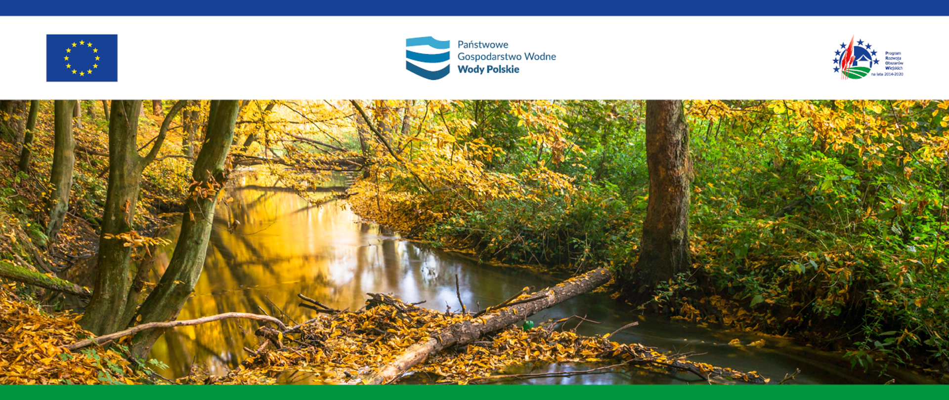 Moszczenica - grafika