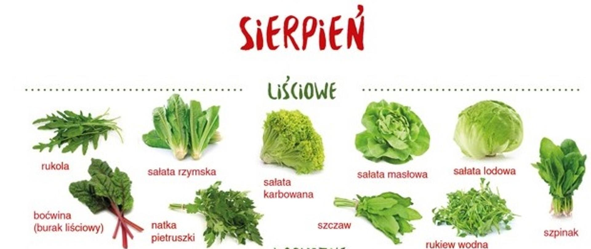 Warzywa sezonowe - sierpień