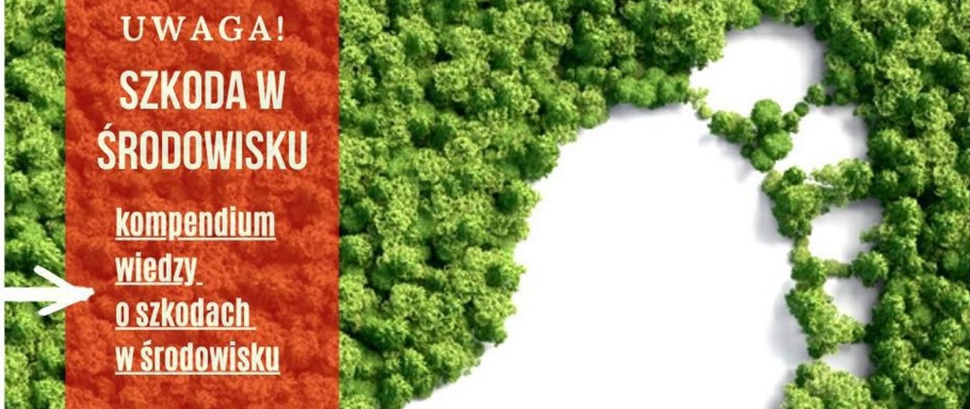 Odcisk stopy na koronach drzew.