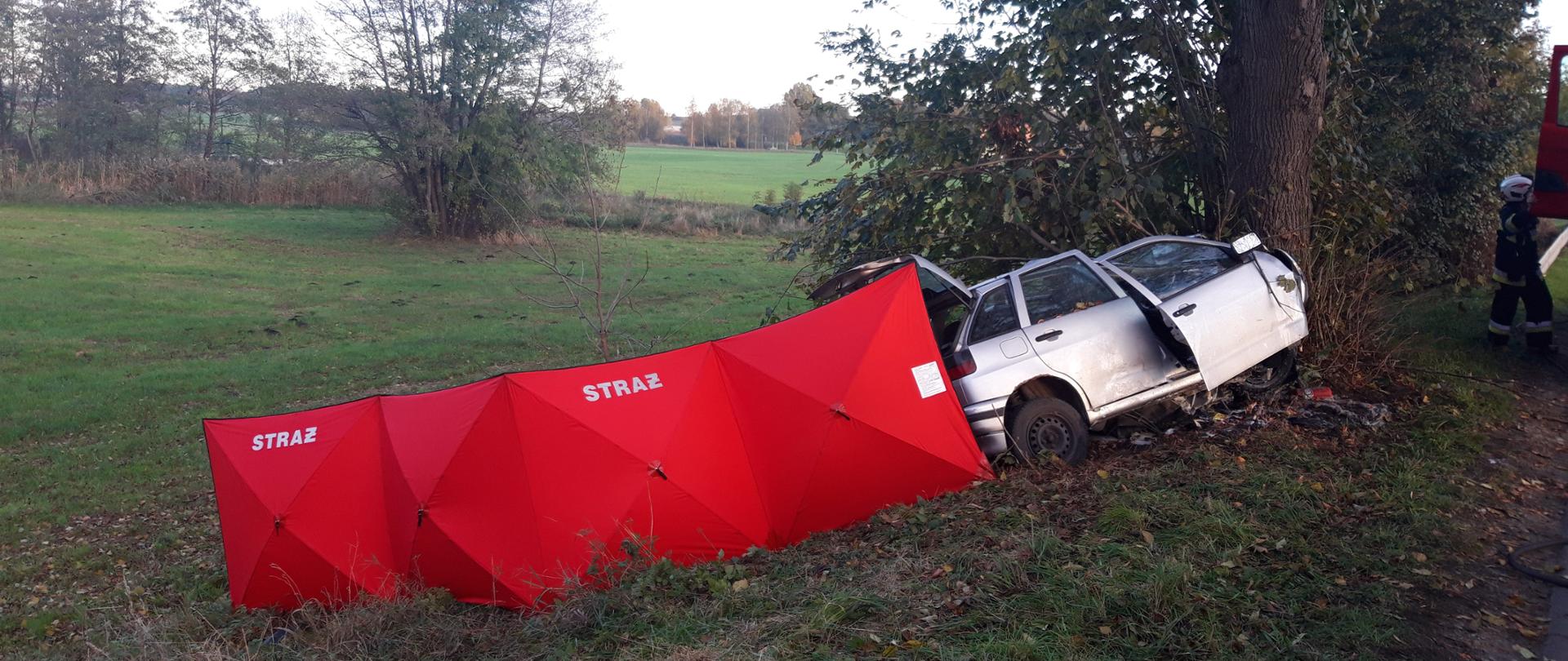Wypadek Stare Bojanowo. Rozbity samochód osobowy, który uderzył w drzewo. Za nim czerwony parawan ochronny, zasłaniający miejsce zdarzenia. W tle drzewa i pola.