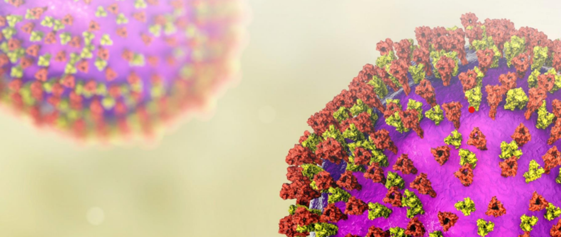 Grafika z poradnika na temat odry portalu Szczepienia.Info