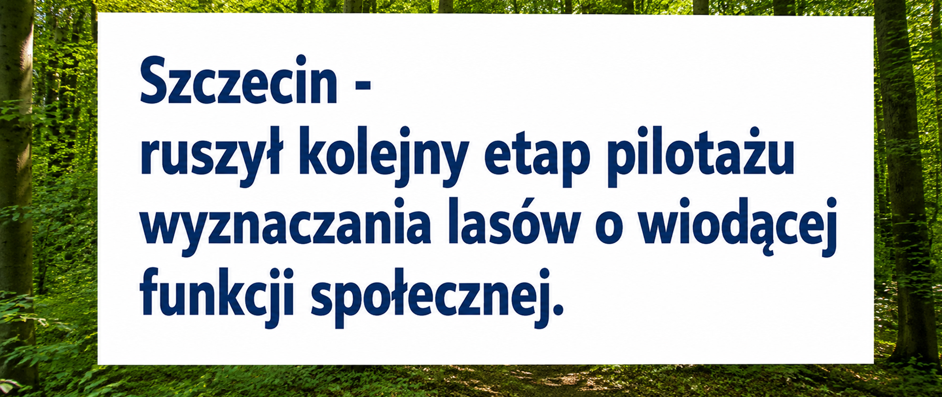 szczecin_geoank_lowfs