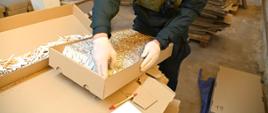 Funkcjonariusz Służby Celno-Skarbowej sprawdza karton z nielegalnymi papierosami.