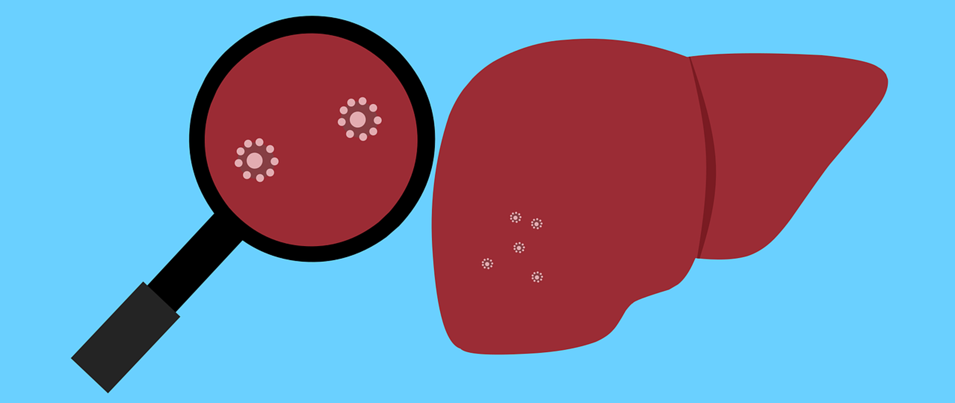 Grafika przedstawiająca wątrobę i lupę na niebieskim tle